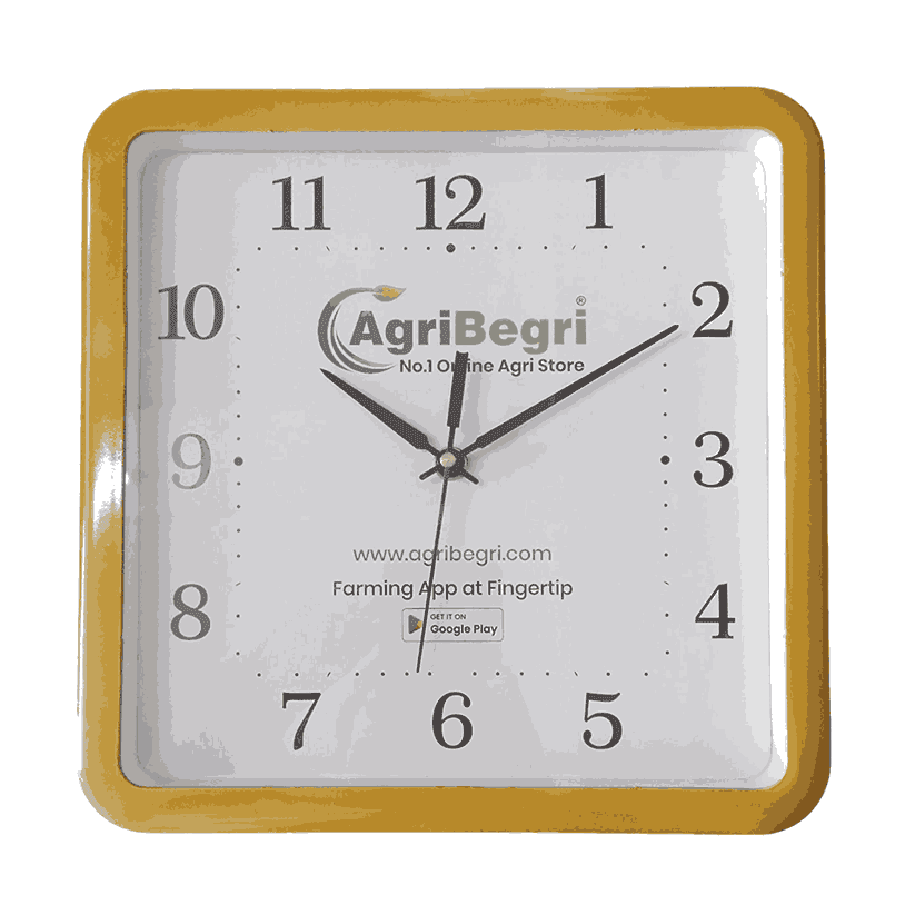 Eclat AgroxglobalSquare Wall Clock, Stylish, Durable Plastic Analog Clock For Home And Office view 3